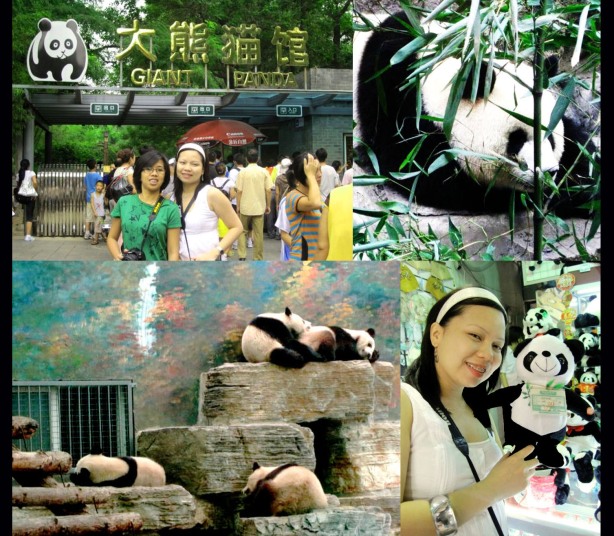 The Beijing Zoo - House of Panda!